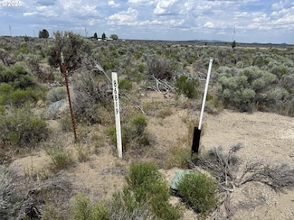 86819 Glitter Ln, Christmasvalley, OR 97641