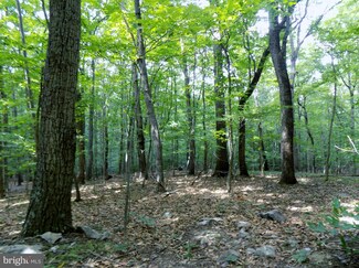 0 Frogtown Rd Unit 1002139110, Berryville, VA 22611