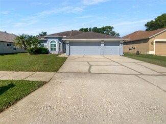 3943 Chaucer Way, Land O Lakes, FL 34639