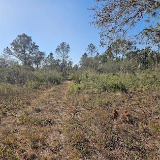 0 Sugarfoot Ave Unit MFRTB8351737, Lake Wales, FL 33859