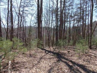 TBD White Rock, Floyd, VA 24091
