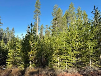 0 Artesian Dr Unit TL 8 220196223, Chiloquin, OR 97624