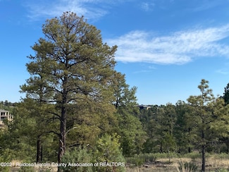 L35D Walter Hagen Dr, Alto, NM 88312