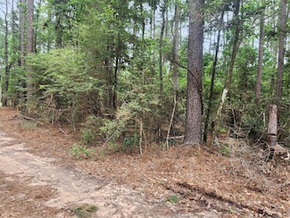 277 Long King, Livingston, TX 77351