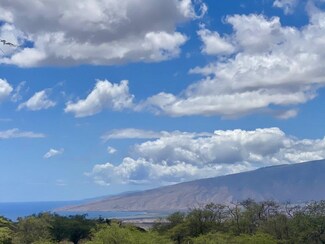 136 Ikena Kai Place, Kula, HI 96790