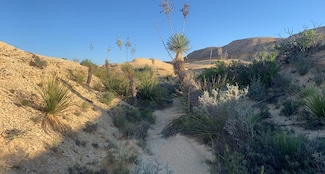 1701 La Luna Rd, Terlingua, TX 79852