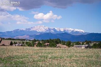 16954 Horizon Ridge Trail, Black Forest, CO 80908