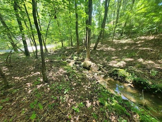 161 Sugarbush Cir, Crossville, TN 38558