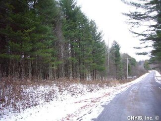 1 Nortonville Rd E, Greig, NY 13345