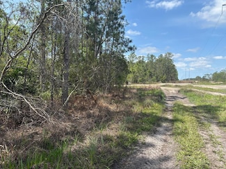 0 Holopaw Groves Rd Unit F10536884, Saint Cloud, FL 34772