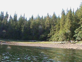 Lot 11 Block 1 Thoms Place Unit 2, Wrangell, AK 99929