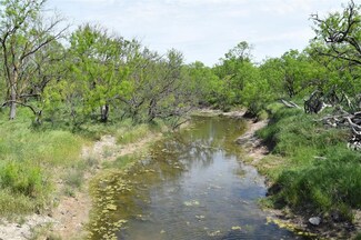 FM 382, Winters, TX 79567
