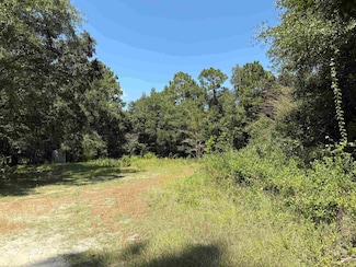 9 Blue Waters Ct, Woodville, FL 32305