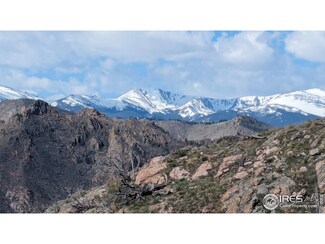 131 Bull Rock Ct, Glacier View Meadows, CO 80536