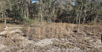 Lot 34 SW Arrow Leaf Trail, Dunnellon, FL 34431