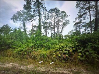 1203 James Ave Unit 13, Lehigh Acres, FL 33972
