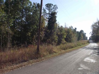 1 Old Union Rd, Adamsville, TN 38310