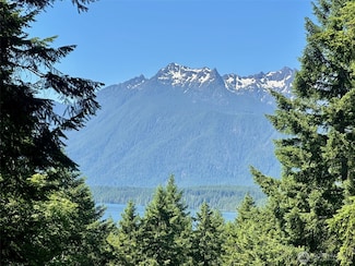 5154 N Lake Cushman Rd, Hoodsport, WA 98548