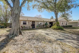 5106 Lawnton Ct, Tampa, FL 33624