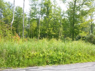 TR 401 Swoyer Rd, Jefferson Township, PA 18436