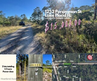 1252 Persimmon St, Lake Placid, FL 33852