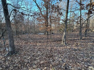 10300 Center Ridge Dr, Shoal Creek Township, MO 64804