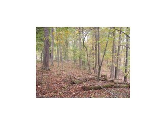 00 Plum Orchard Rd, Ripley, WV 25271
