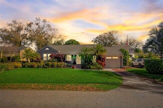 919 W Candlewood Ave, Tampa, FL 33603