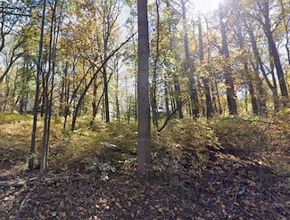 0 Jericho Rd Unit 915015, Linden, VA 22642