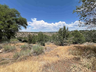730 Canyon Dr, Cortez, CO 81321