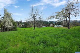 953 Crooked Finger Rd NE, Scotts Mills, OR 97375