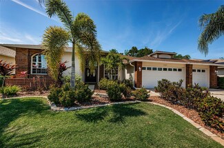11223 Wedgemere Dr, Trinity, FL 34655