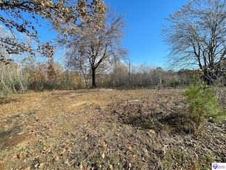 3535 Morgantown Rd, Caneyville, KY 42721