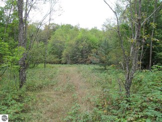 0 E 32 Rd Unit 1850793, Cadillac, MI 49601