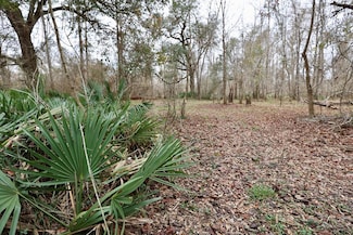 1300 Brinson Rd, Colquitt, GA 39837