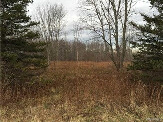 00 Ketchum Rd, North Collins, NY 14111