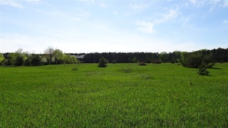 TBD Priest Rd, Custer Township, MI 49659