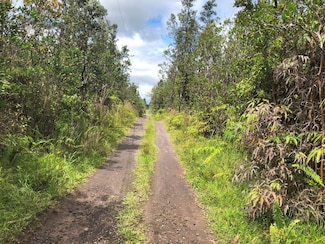 16-1223 Road 5 (Uau), Mountain View, HI 96760