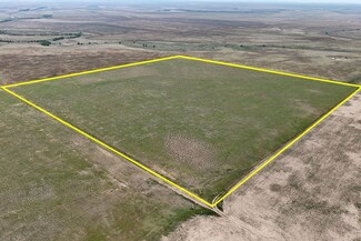 41 +/- Acres Off 22 Rd, Rolla, KS 67954