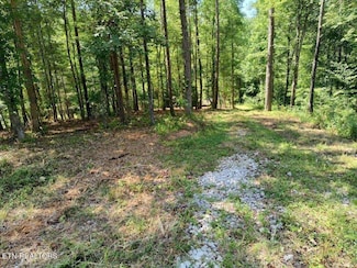 0 Ashe Cabin Hollow Rd, Harriman, TN 37748