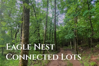 54 Eagle Nest Ln, Hochatown, OK 74728