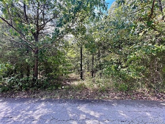 9909 Sassafras, Hillsboro, MO 63016