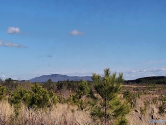 415 ACRES Beaird Rd, Gadsden, AL 35903