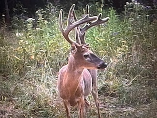 597 Lost Hollow Rd, Monticello, KY 42633