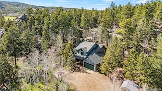 597 Pine Glade Rd, Nederland, CO 80466