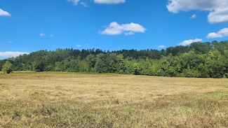 202 (Lot#17) Reva's Way, Story, AR 71970