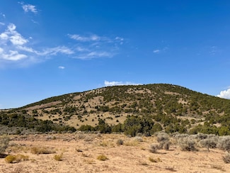 0 Horse Canyon Rd Unit 22924872, de Beque, CO 81630