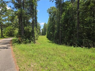 0 Cressionnie Rd Unit 2513622, Carriere, MS 39426