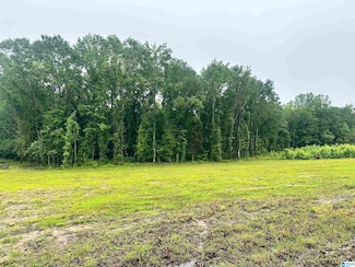 0 Ward School Rd Unit 3 21420315, Centreville, AL 35042