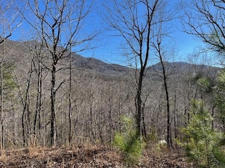 Lot 10 Mountain Valley View, Hiawassee, GA 30546